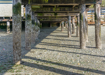 Pier Pilings At Low Tide 2