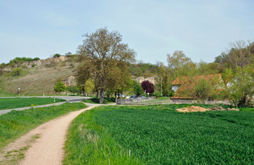 alte ölmühle im im appelbachtal bei wöllstein