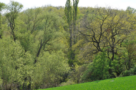 im appelbachtal bei w&ouml;llstein