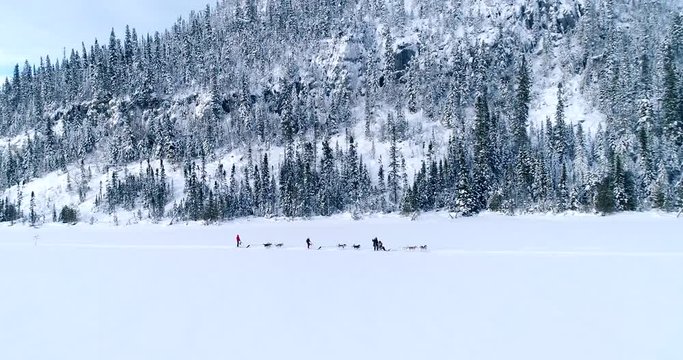 A group of huskies pulls some sleds in deep snow. Filmed in Northern Canada.