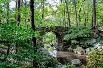 Stone bridge with a stream in a forest in  the Ozark mountains Arkansas