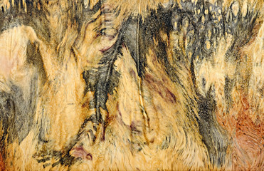 Real burl wood striped for Picture prints interior decoration, Exotic wooden beautiful pattern for crafts