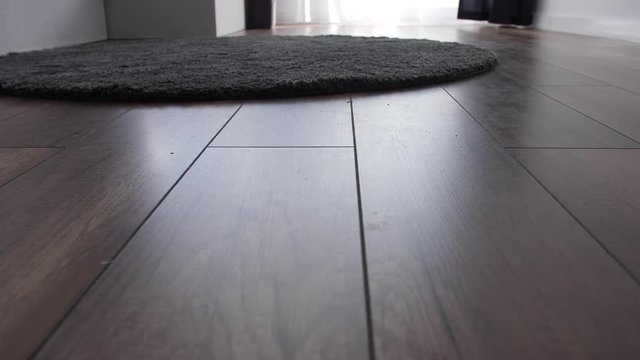 A low shot of a wooden floor with sunlight reflecting off of it in front of a dark rug.