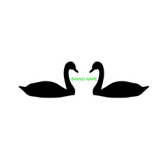 two black swans on white background. Logo concept vector