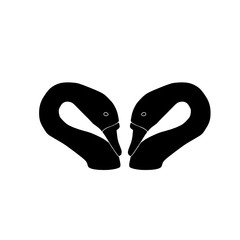two swans head brand logo concept. Animal vector icon on white backgrounds
