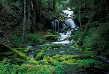 big spring creek waterfall, washington state