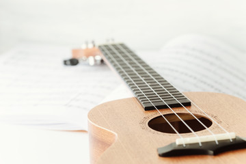 Fototapeta na wymiar Brown ukulele guitar. Soft focus, Pastel colors