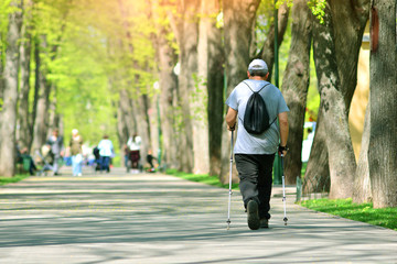 Summer sport in a park. Nordic walking in a park. Active elderly man hiking with sticks.