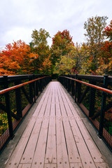 Fototapeta na wymiar Waling bridge, autumn colorful trees at the background