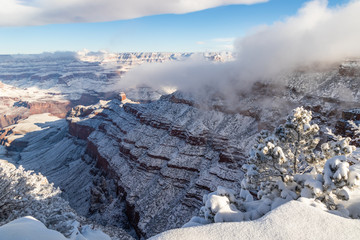 Grand Canyon in winter, viewed from the South Rim. Snow covers the canyon walls. Clouds clinging to the canyon, and overhead in the blue sky. Edge of the rim and bushes covered with snow.