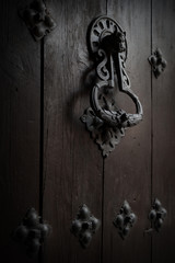 Old Wooden Palace door with retro style caller.