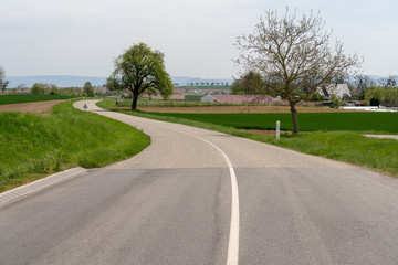 Schwarzwald im Frühling