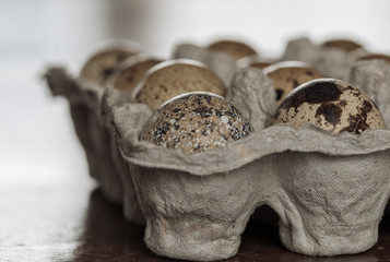 Motley quail eggs in a paper substrate on a wooden vintage table. Soft focus. Macro.