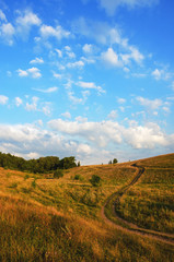 Summer landscape with ground country road passing through the fields and meadows