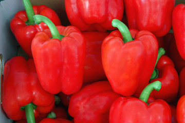 red bell peppers