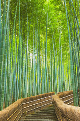 あだしの念仏寺の竹林