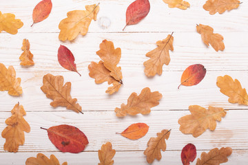 Autumn leaves on a white wooden background