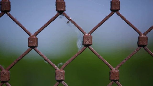 Cobweb on a brown Fence at the lake Balaton, Hungary, Europe
Recorded with a Canon 6d 2.8 200mm lens 1080p 30fps