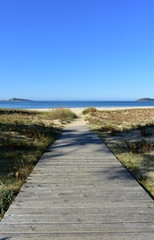 Beach with vegetation and wooden boardwalk. Blue sea, sunny day, Galicia, Spain.