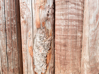 Beautiful Natural background Pattern of a Log Wall. Wooden Log Wall.