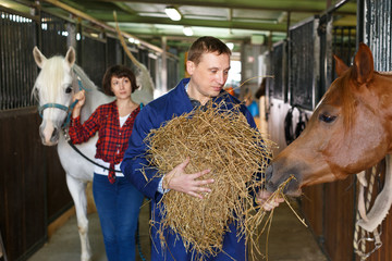 Man in working clothes feeding horse