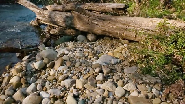 Footage of creek/river on a sunny, spring day