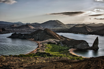 Galapagos seascape