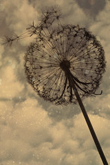A huge artificial dandelion made of metal in the Park, against the gloomy sky. Average plan