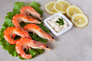 boiled shrimps on a leaf of lettuce with lemon and white sauce on a gray table