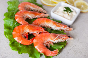 boiled shrimps on a leaf of lettuce with lemon and white sauce on a gray table, closeup