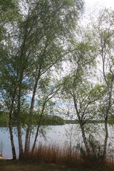 steinberg am see opf,