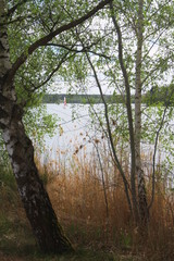 Naklejka premium steinberg am see opf,