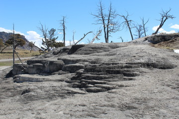 desert like cascade with dead trees