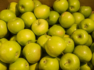 Many green delicious apples in a box in the store