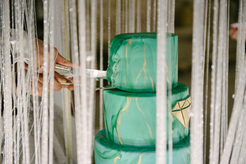 Large green wedding cake close-up on the wedding table