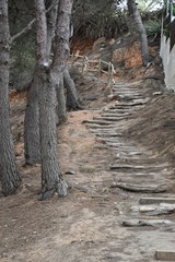 escalera montaña