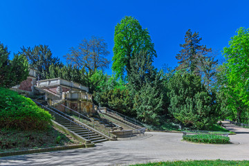 Fototapeta premium Riesa