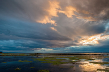 Obraz premium Cielo de tormenta sobre los arrozales de Valencia