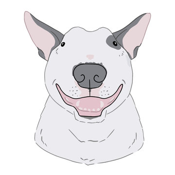 Vector art of bull terrier portrait on white background. Hand drawn illustration of cute cartoon dog head. Open mouth dog head.