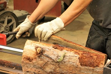 A man working with the firewood to split the logs by the machine in the factory as the background , Spring in Georgia USA.