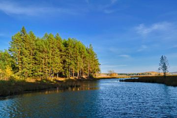 Autumn landscape sunny warm day in the forest by the river