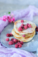 Fritters with raspberries on a gray plate front view close-up against the background of a concrete wall and pink flowers