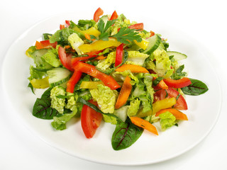 Colorful mixed Salad with Vegetables
