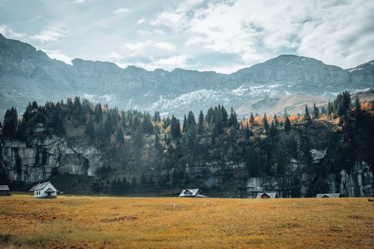 a very outdoorsey setting