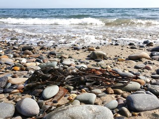A stone beach with seaweed thrown out of the sea. Bray, Co. Wicklow, Ireland