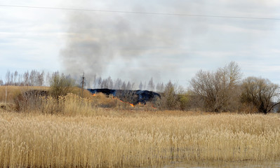 Obraz premium Dry grass on fire. Fire situation. Ecology is in danger.