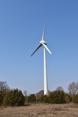 Windmill in a landscape by spring season