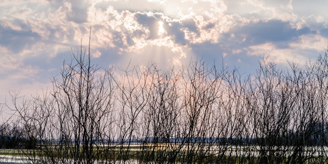 Biebrza Valley (Poland).  Backwaters near Goniadz town with birds in background at dusk