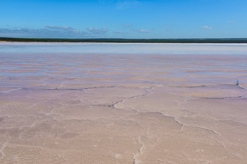 Salt lagoon,Dunaliella salina coloration, La Pampa, Argentina