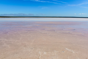 Salt lagoon,Dunaliella salina coloration, La Pampa, Argentina